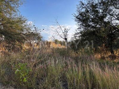 Sendero del nogal S/N,, Huimilpan, ケレタロ 76973, メキシコ