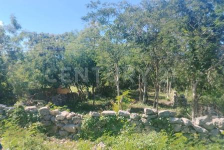 30 101,, Chicxulub Pueblo, Yucatan 97340, Mexique