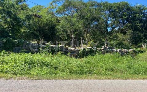 30 101,, Chicxulub Pueblo, Yucatan 97340, Mexique