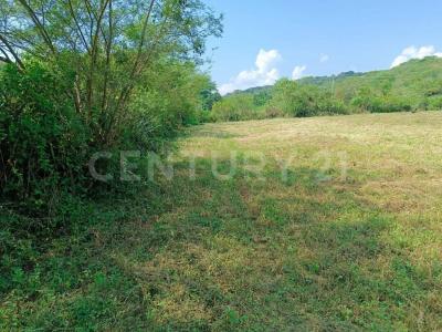 Minatitlan, Colima 28750, Mexico