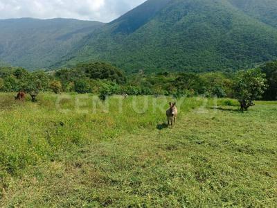 Minatitlan, Colima 28750, Mexico