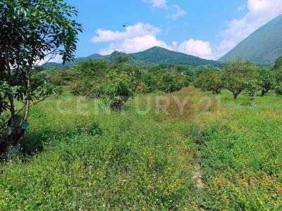Minatitlan, Colima 28750, México