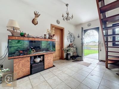 Rue de Marchienne 97, Thuin, 6530, 벨기에