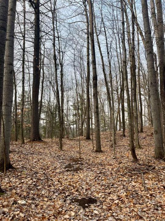 15  Rue d'Arosa, Lac-Sainte-Marie, Quebec J0X 1Z0, CANADÁ