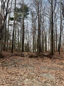 15  Rue d'Arosa, Lac-Sainte-Marie, Quebec J0X 1Z0, CANADÁ