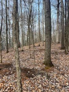 15  Rue d'Arosa, Lac-Sainte-Marie, Quebec J0X 1Z0, CANADÁ