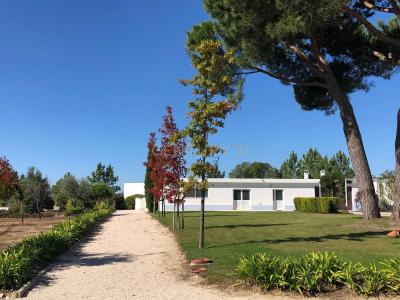 Azambuja, Lisbon 2050-364, Portugal