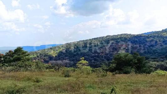 La Laja 1,, Manzanilla De La Paz, Jalisco 49460, Mexico