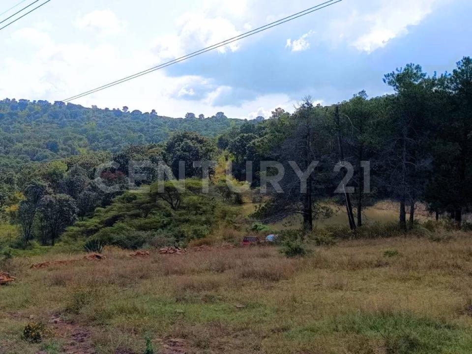 La Laja 1,, Manzanilla De La Paz, Jalisco 49460, México