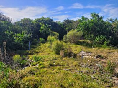 Bella Vista 24, Punta Rubia Y Santa Isabel De La Pedrera, ロチャ 00001, ウルグアイ