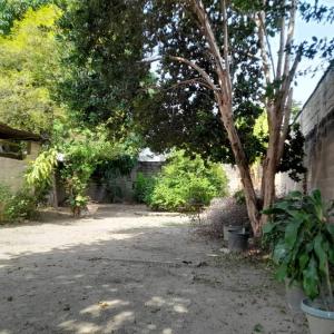 camilo torres 7, Turmero, Aragua 2115, ベネズエラ
