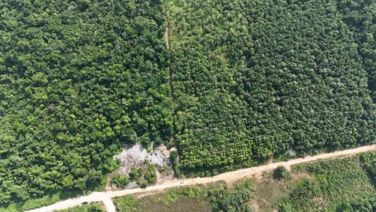 Jacintoville, Toledo 00001, Belize