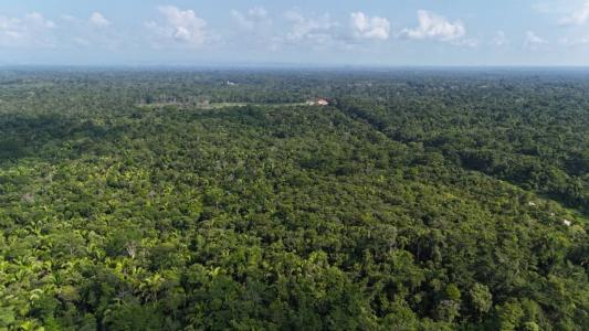 Jacintoville, Toledo 00001, Belize