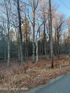 23 Hemlock Lane, Gouldsboro, Pennsylvania 18424, USA