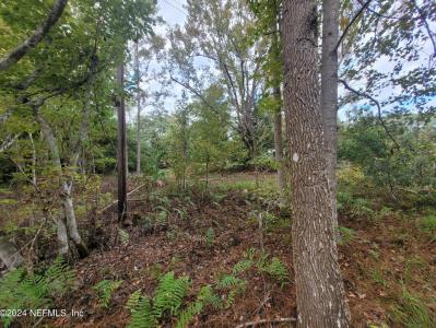 0 Sentinel Drive , Crescent City, Floride 32112, États-Unis