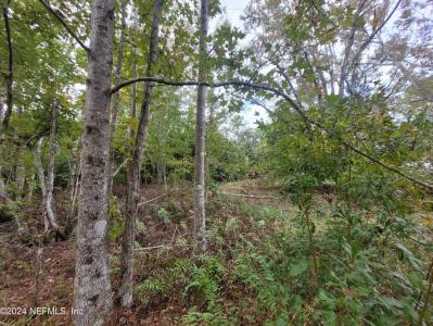 0 Sentinel Drive , Crescent City, Floride 32112, États-Unis