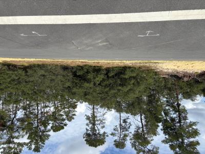 0 SW 176th Lane Road, Ocala, Florida 34473, USA