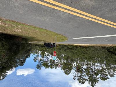 0 SW 176th Lane Road, Ocala, 플로리다 34473, 미국