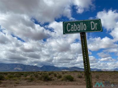 TBD Estrella Parkway Road, Rodeo, 新墨西哥州 88056, 美国