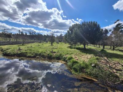 Tondela, Viseu 3465-059, Portogallo