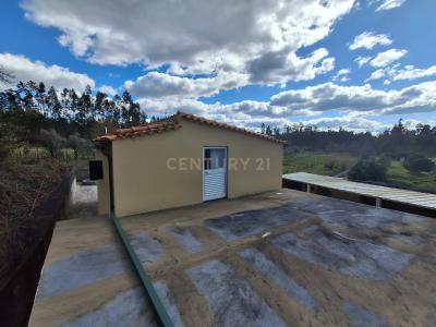 Tondela, Viseu 3465-059, Portogallo