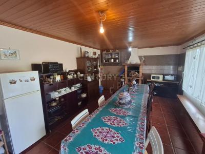 Tondela, Viseu 3465-059, Portogallo
