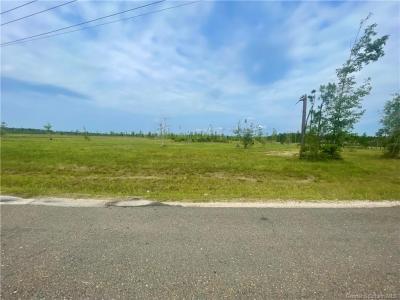 0 Camp Edgewood Road, Dequincy, Louisiana 70633