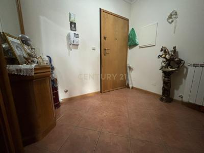 Mirandela, ברגנסה 5370-220, פורטוגל 