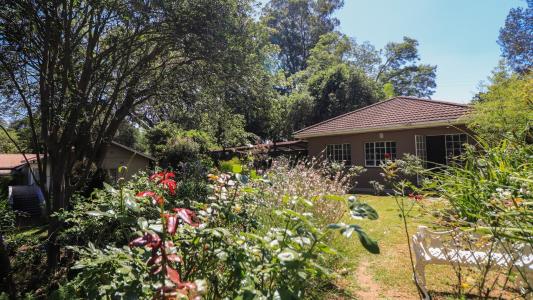 White River, 음봄벨라, 남아프리카