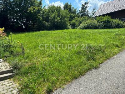 Siegsdorf, Bayern 83313, Alemania