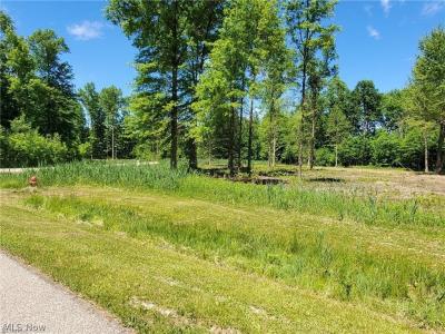 Mareddy Drive, Ashtabula, 俄亥俄州 44004, 美國