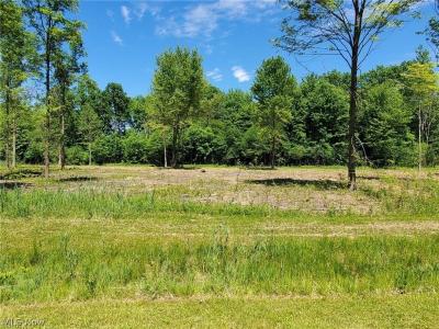 Mareddy Drive, Ashtabula, 俄亥俄州 44004, 美國