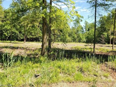 Mareddy Drive, Ashtabula, 俄亥俄州 44004, 美國