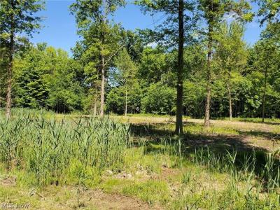 Mareddy Drive, Ashtabula, 俄亥俄州 44004, 美國