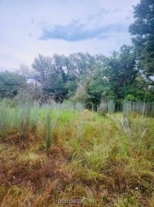 TBD Odin Street, Somerville, Texas 77879, Estados Unidos