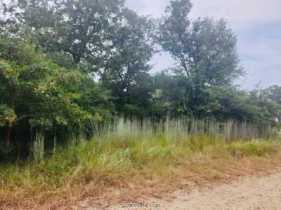 TBD Odin Street, Somerville, Texas 77879, Estados Unidos