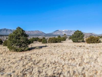 8170  Autumn Drive, Flagstaff, Arizona 86004, USA
