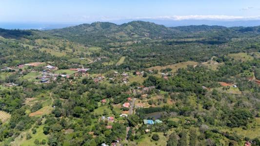 Bijagual Carara Turrubáres, San José 61105, Costa Rica