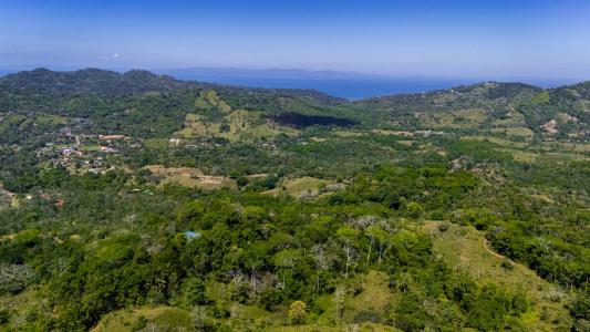 Bijagual Carara Turrubáres, San José 61105, Costa Rica