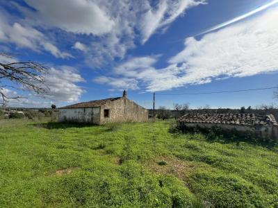 Lagoa, Faro 8400-429, Portugalia