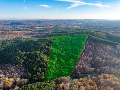 00 Sneed Road, Decatur, Tennessee 37322, Stati Uniti