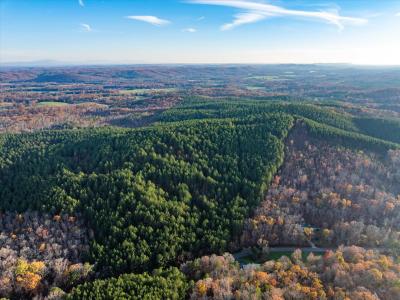 00 Sneed Road, Decatur, Tennessee 37322, Stati Uniti