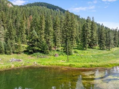 TBD Mossy Pine Loop, Lead, 南达科他州 57754, 美国