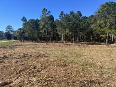 17802 US-301, Waldo, Florida 32694, USA