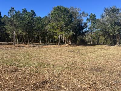 17802 US-301, Waldo, フロリダ 32694, アメリカ合衆国