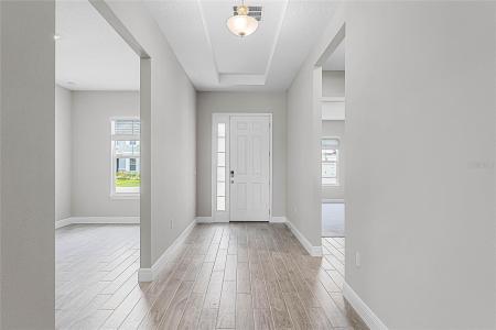 18955 Rawson Street, ORLANDO, Flórida 32827, Estados Unidos