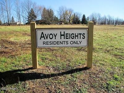 4 Avoy Heights Road, Lake Ariel, Pennsylvania 18436, USA