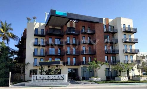 Flamboyan Condominiums PH 501/502/503, Avenida Centenario 1718 501/02/03,, Los Cabos, Baja California Sur 23400, Mexico