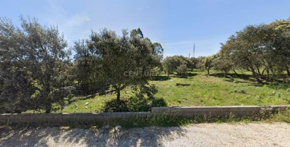 Ourém, Santarem 2495-502, Portugal