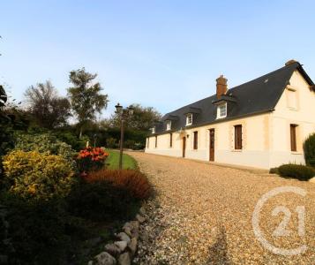 Neville, Haute-Normandie 76460, Francia